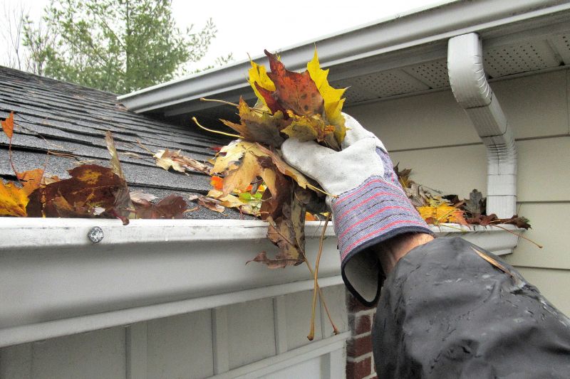 Residential Gutter Maintenance