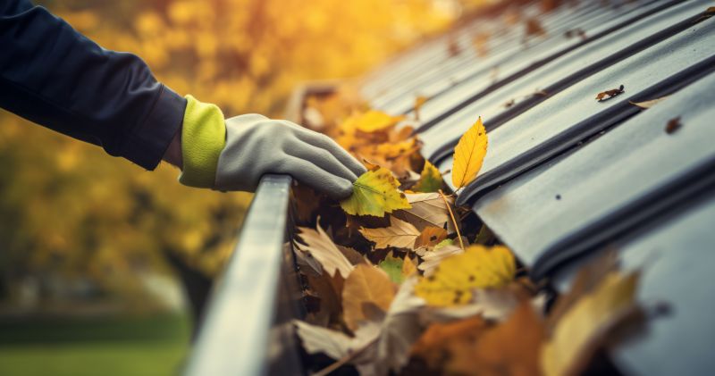 Fall Gutter Clearing